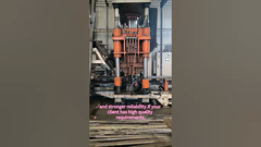 แพลต แข็งแรง น่าเชื่อถือ: ความลับเบื้องหลังเครือเหล็กผสมผสาน!